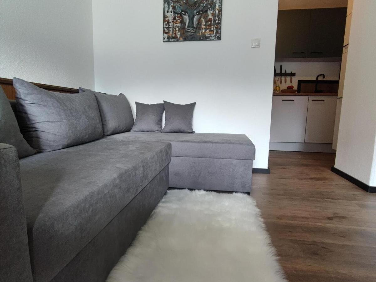 Great Apartment Near The Ski Area Hippach Extérieur photo